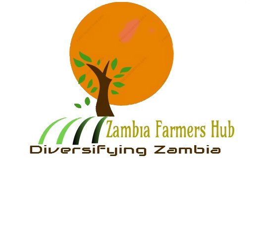Zambia Farmers hub